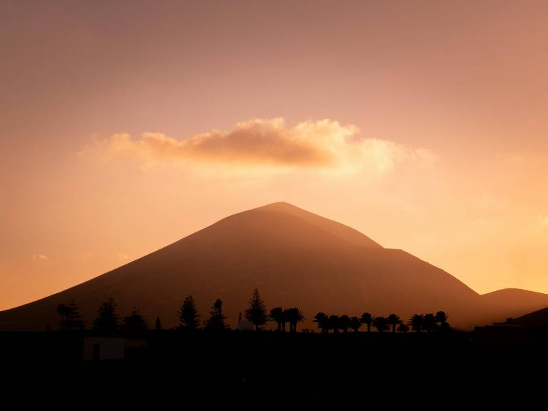 Immagine 5